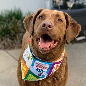 Meet your Posher, Tyler